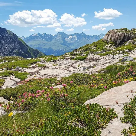 Amazing In With Sauna, Wifi And 2 Bedrooms #185 Klosterle am Arlberg